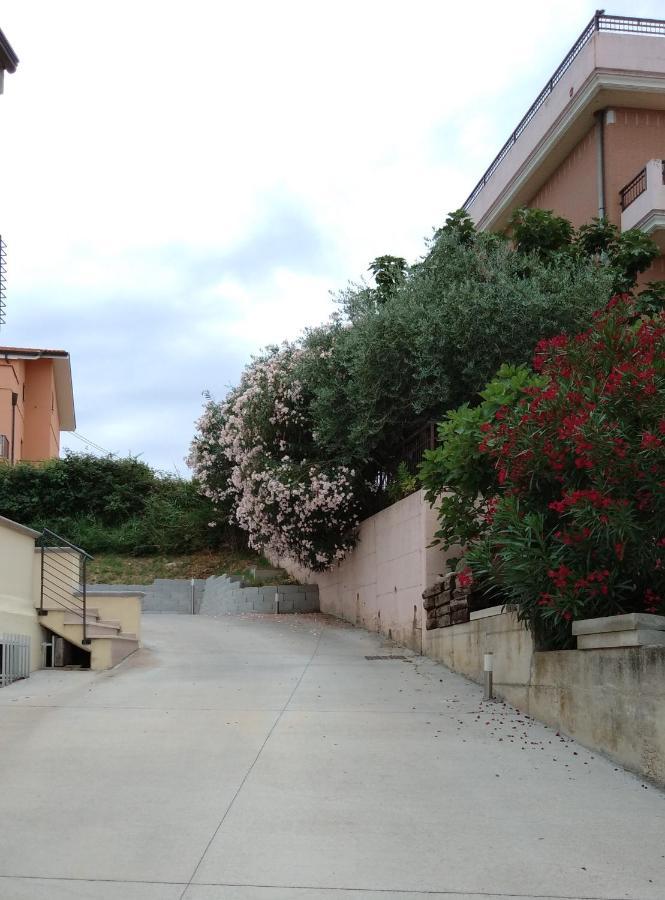 Via Mediterraneo 39 Casa Vacanze Petacciato Eksteriør billede